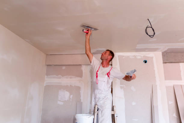 Best Commercial Painting  in Dumfries, VA